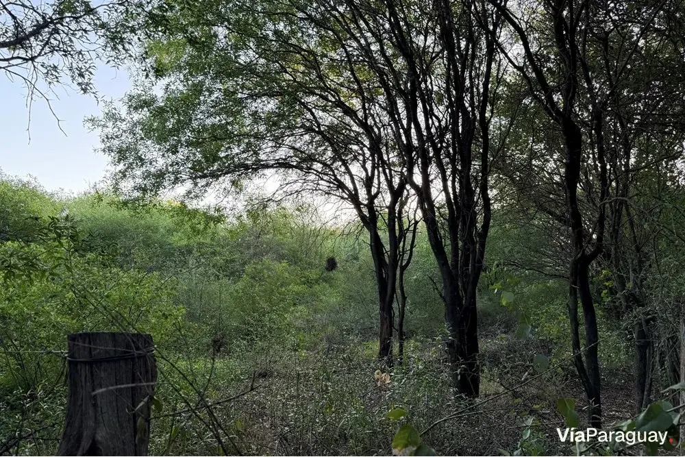Terreno con casa en venta en Cruce Boquerón, Loma Plata