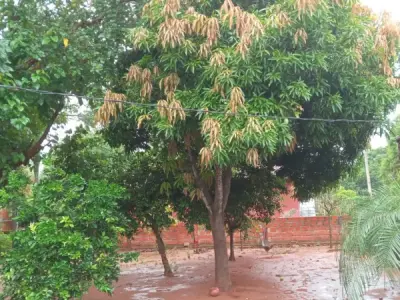 Terreno con construcción en venta en Limpio, Barrio Mbayue