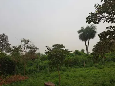 Land with Unfinished Construction in Isla Aranda, Limpio