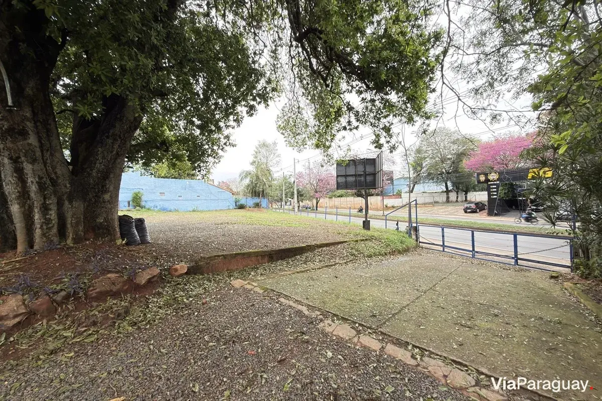 Land with offices for rent on Av. Mariscal López