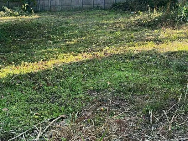 Land with artesian well and foundation slab for sale in Hernandarias