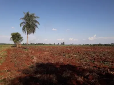 Terreno de 1 hectare à venda no Km 12 Monday, Ciudad del Este