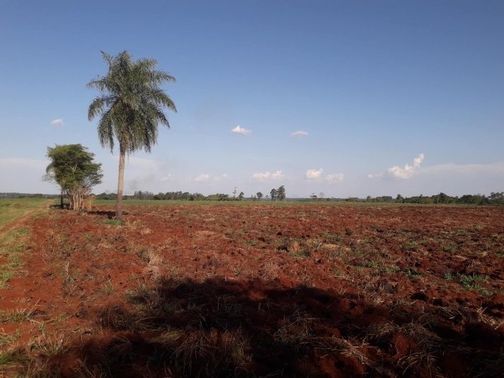 Terreno de 1 hectare à venda no Km 12 Monday, Ciudad del Este