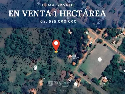 Terreno de 1 hectárea en venta en Loma Grande, San Francisco