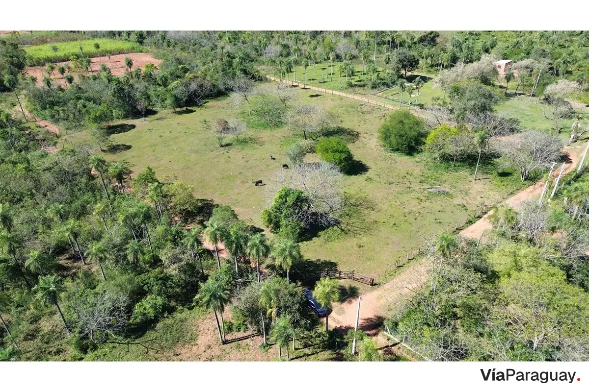 1-hectare land for sale in Loma Grande