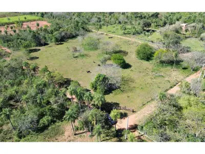 1-hectare land for sale in Loma Grande