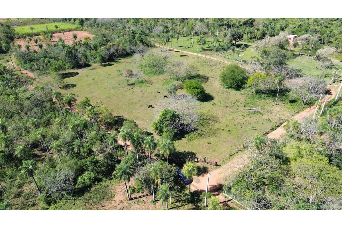Terreno de 1 hectárea en venta en Loma Grande