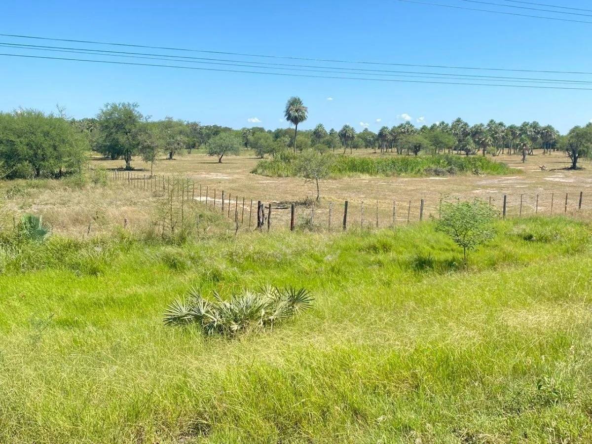 Terreno de 10 hectáreas en José Falcón, sobre Ruta PY09