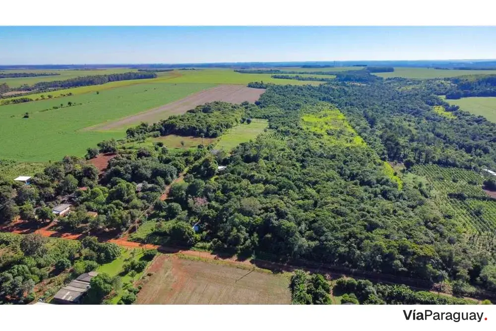 Land of 10 hectares for sale in Presidente Franco