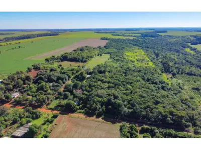 Land of 10 hectares for sale in Presidente Franco
