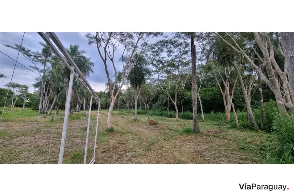 Terreno à venda em Yaguarón com 10.000 m²