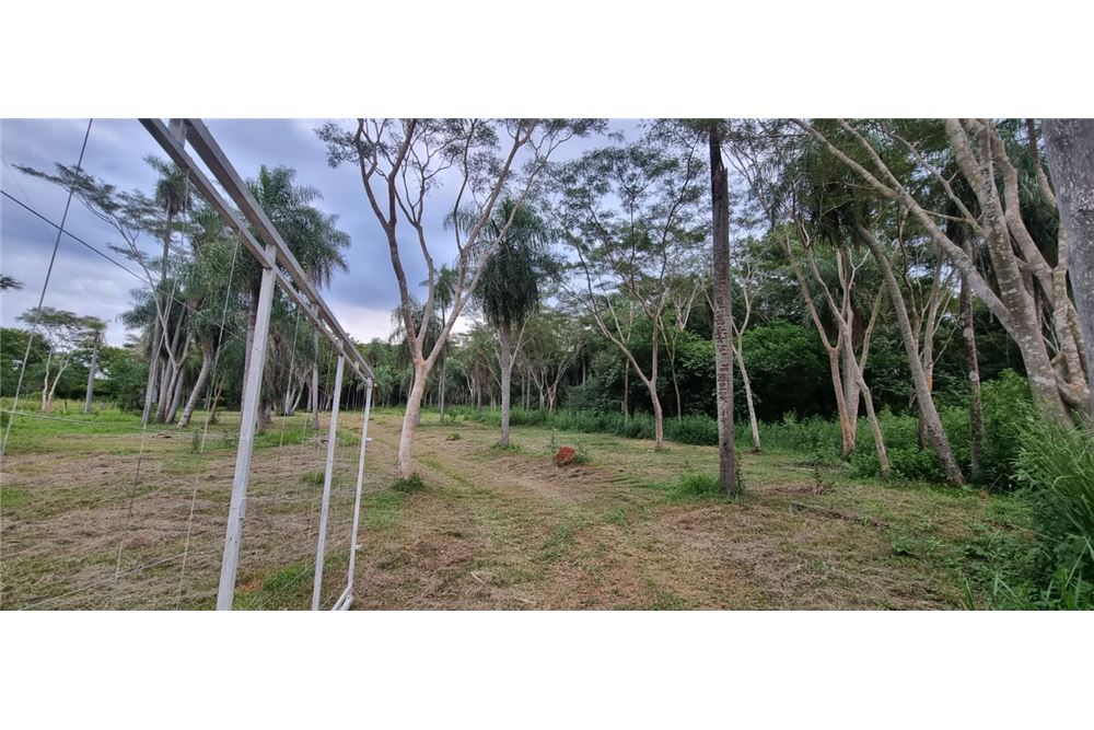Terreno de 10.000 m² en venta en Yaguarón