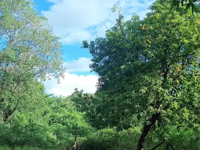 Terreno de 1.057 m² à Venda em Rojas Cañada, Capiatá