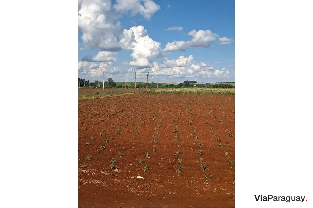 Terreno à venda em Santa Rosa del Monday Norte, 1.199 m²