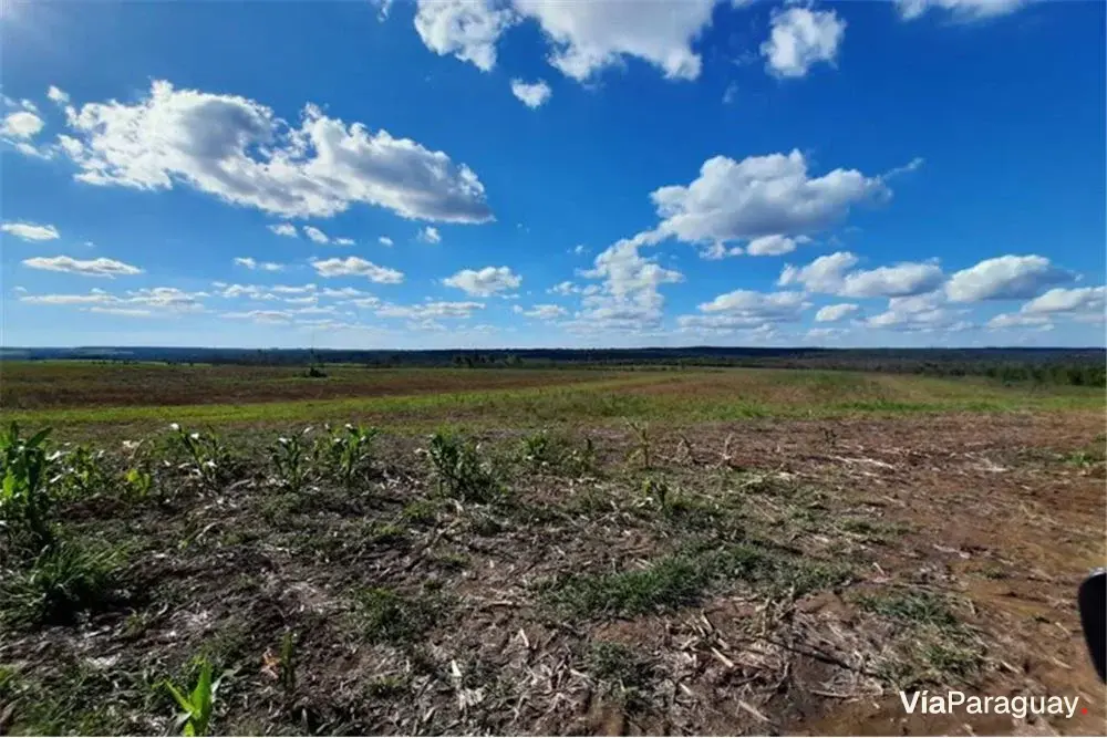 Terreno de 12,9 hectáreas en venta en Repatriación, Caaguazú