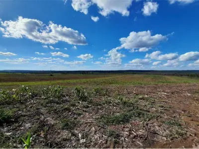 Terreno de 12,9 hectáreas en venta en Repatriación, Caaguazú