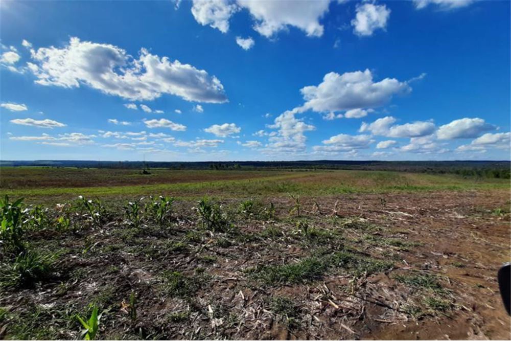 12.9-hectare land for sale in Repatriación, Caaguazú