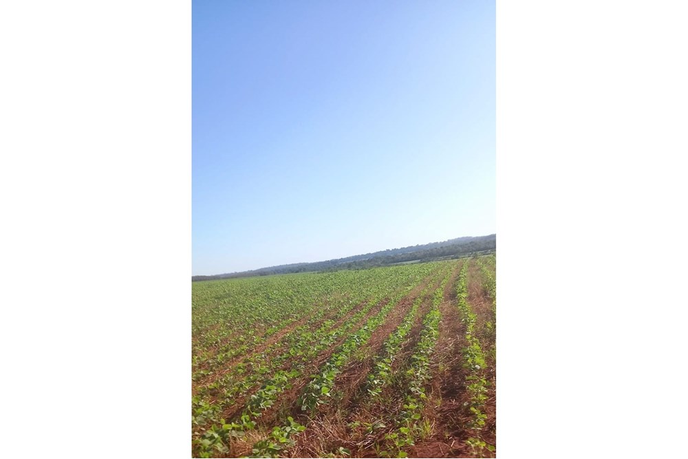 Terreno de 13 hectares à venda em Cambyretá, Itapúa