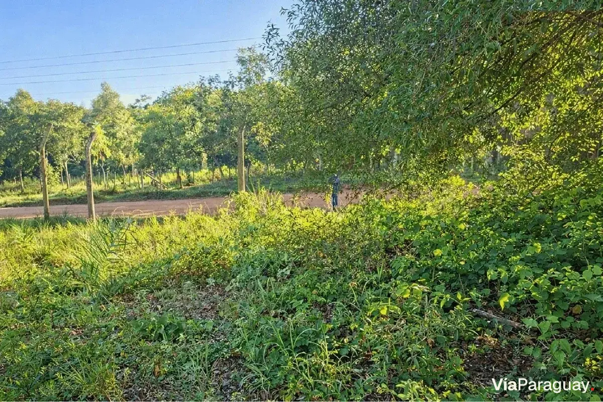 Terreno à venda com 13.910 m² em Aquino Cañada, Caacupé