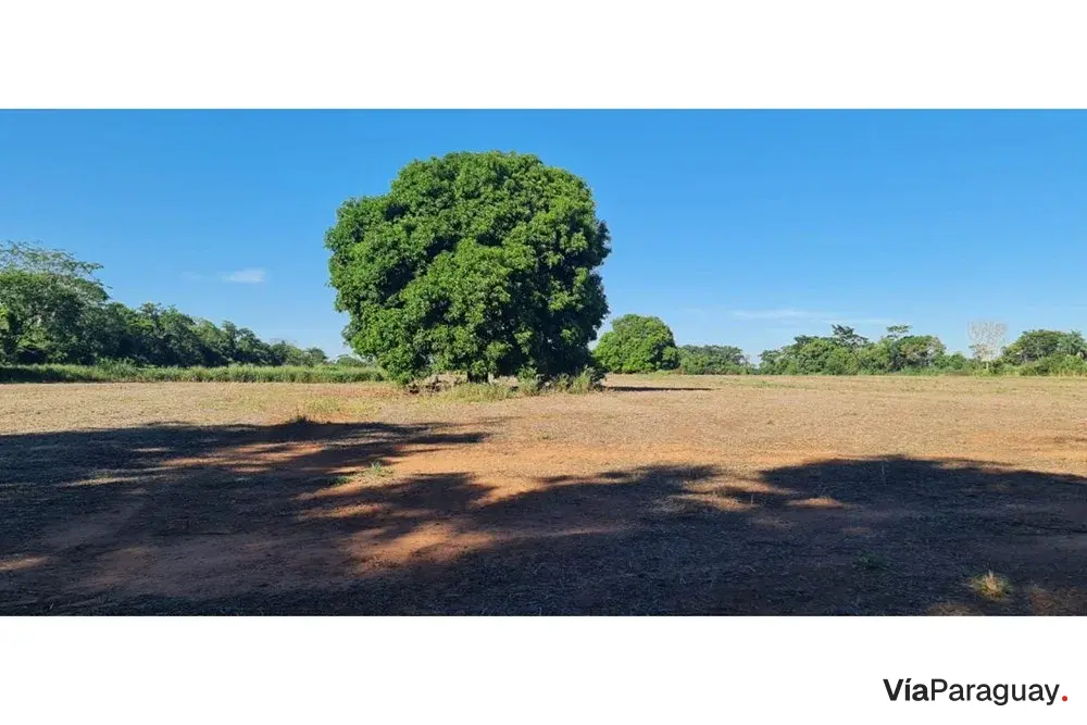 14 ha land for sale in Itacurubí del Rosario