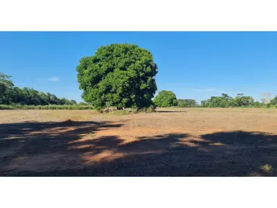 14 ha land for sale in Itacurubí del Rosario