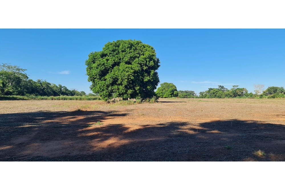 14 ha land for sale in Itacurubí del Rosario