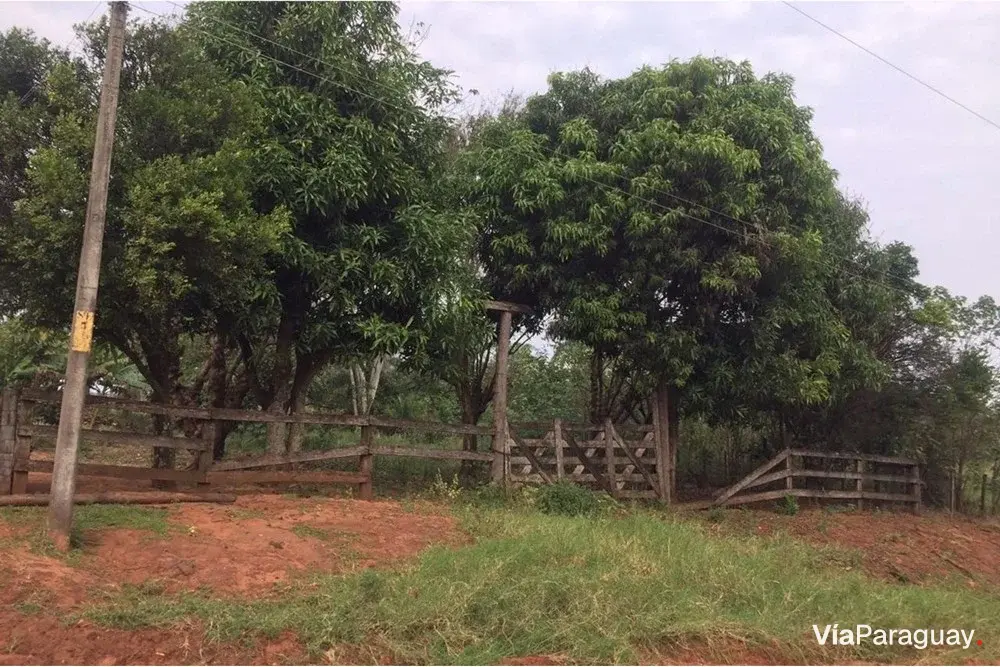 1.4-hectare land for sale in Santaní
