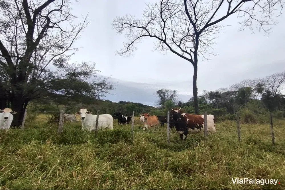 Terreno de 14 hectáreas en venta en Yaguarón, Paraguarí