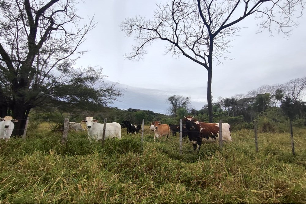 Terreno de 14 hectáreas en venta en Yaguarón, Paraguarí