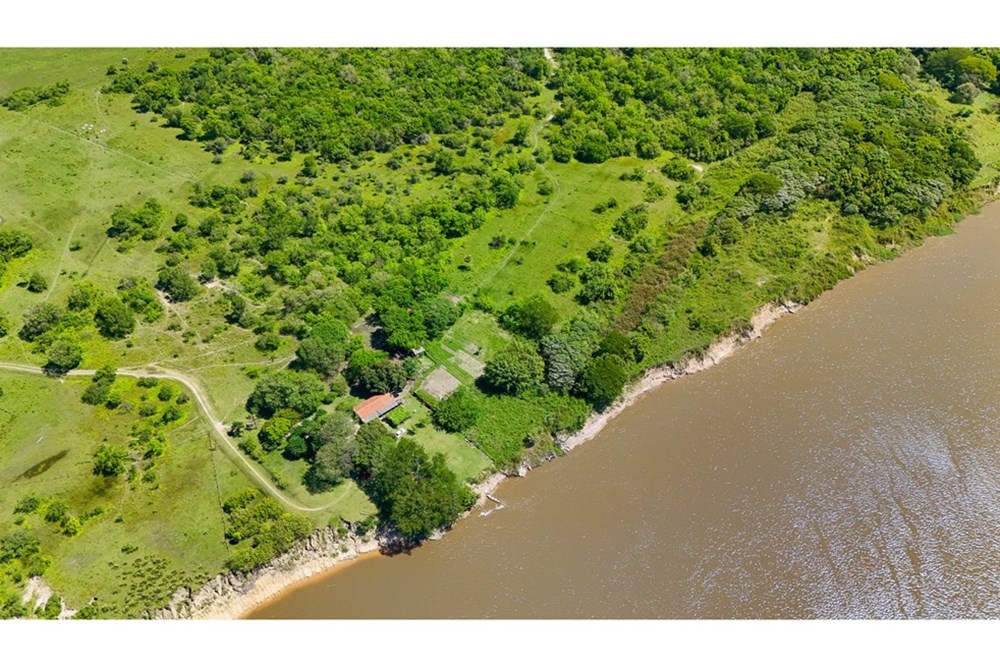 1,400-hectare land for sale in Pilar, Ñeembucú