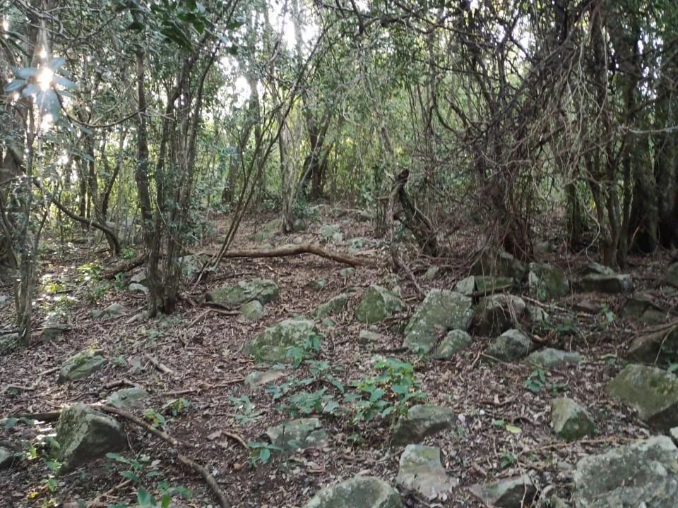 Terreno de 14.300 m² na colina de San Bernardino