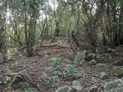 Terreno de 14.300 m² na colina de San Bernardino
