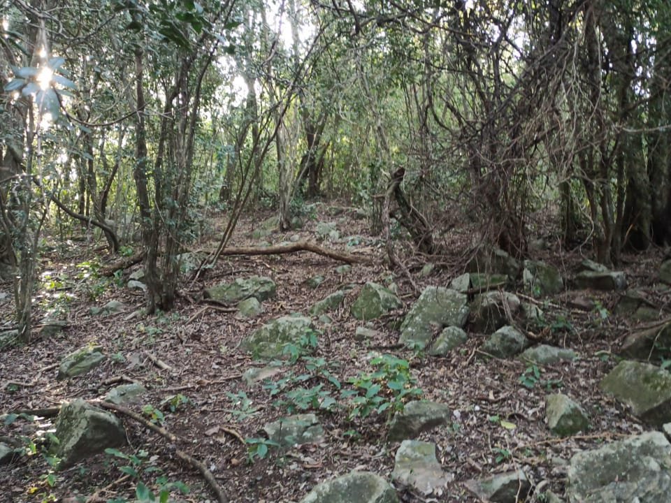 Terreno de 14.300 m² na colina de San Bernardino