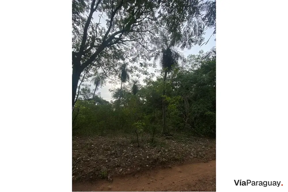 Terreno de 1.500 m² en venta en Itauguá