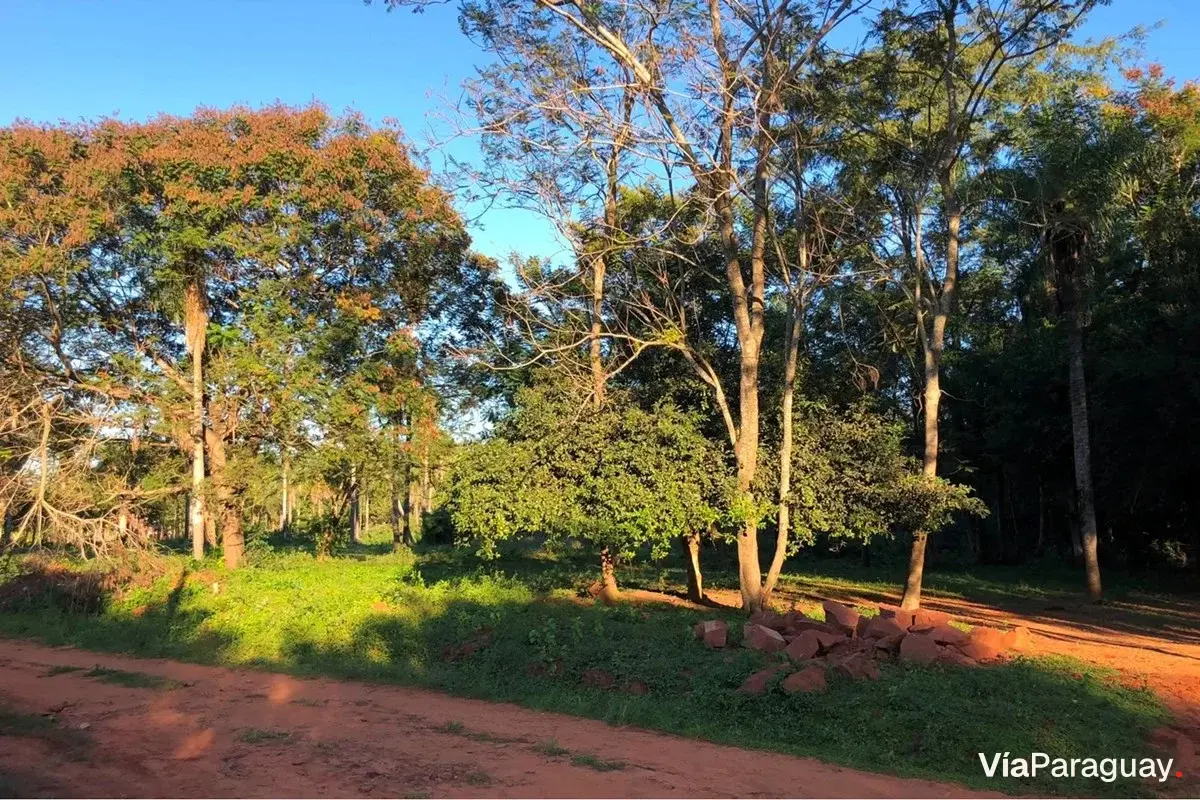 Terreno de 1.551 m² à venda em Itauguá, Central