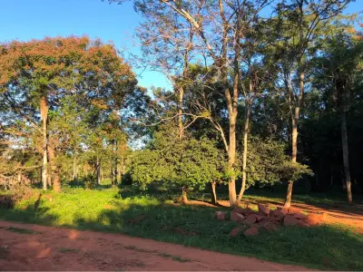 Terreno de 1.551 m² à venda em Itauguá, Central