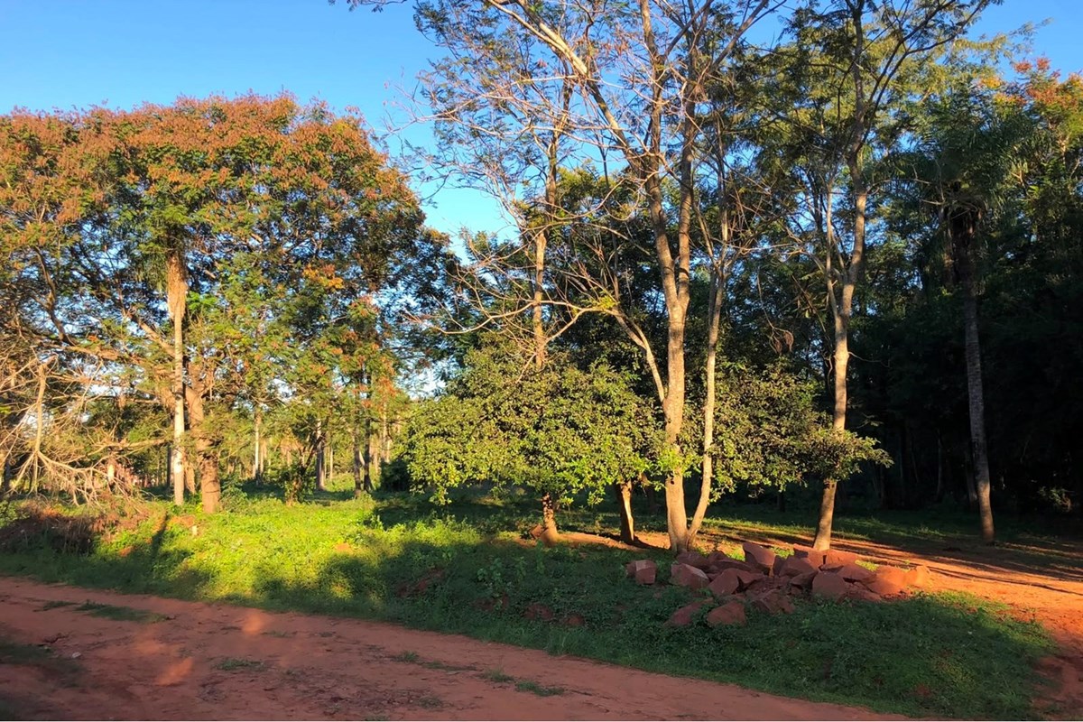 Terreno de 1.551 m² à venda em Itauguá, Central