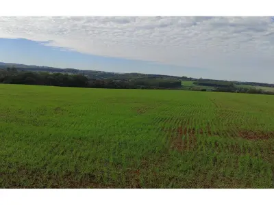 Terreno de 16 hectáreas en venta junto al aeropuerto de Encarnación