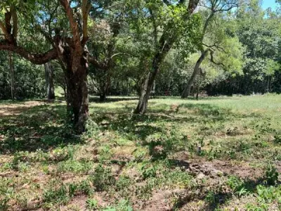 Terreno de 18 hectáreas en venta en Altos, Cordillera
