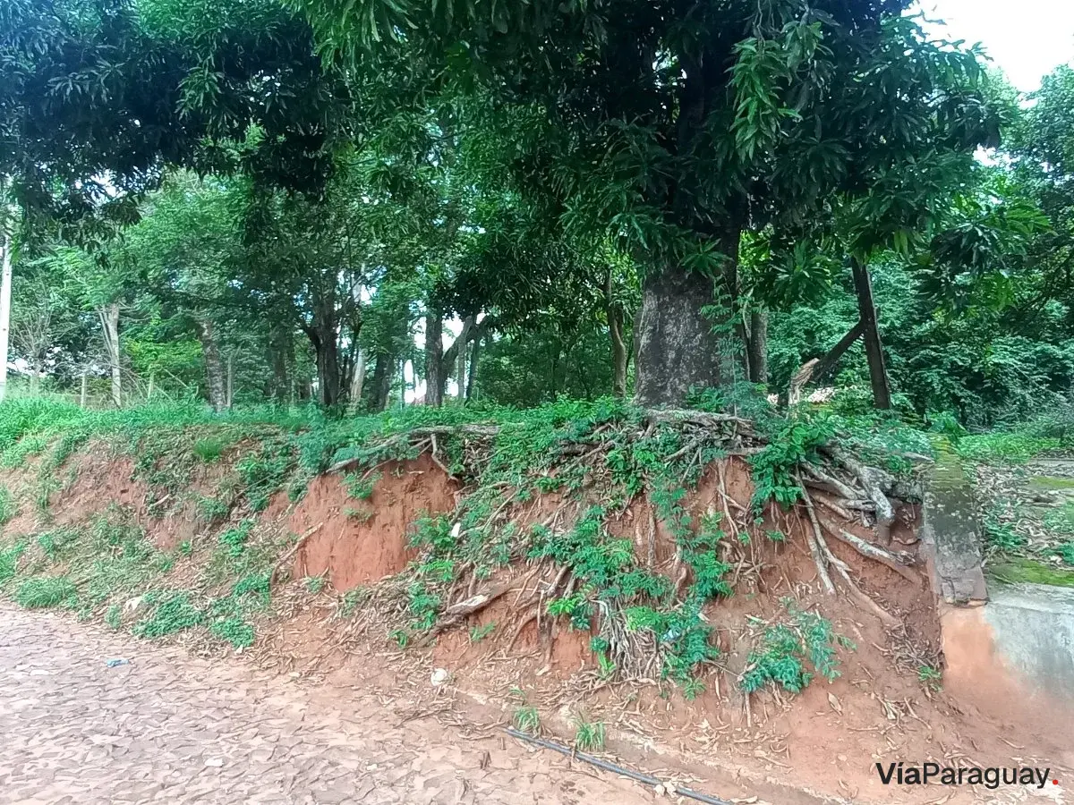 Land for sale on Avda. De la Victoria, Ñemby - 1,837 m²