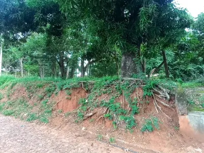 Land for sale on Avda. De la Victoria, Ñemby - 1,837 m²
