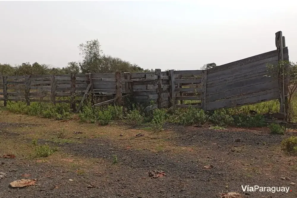 Terreno de 195 hectares à venda em Curuguaty, Canindeyú