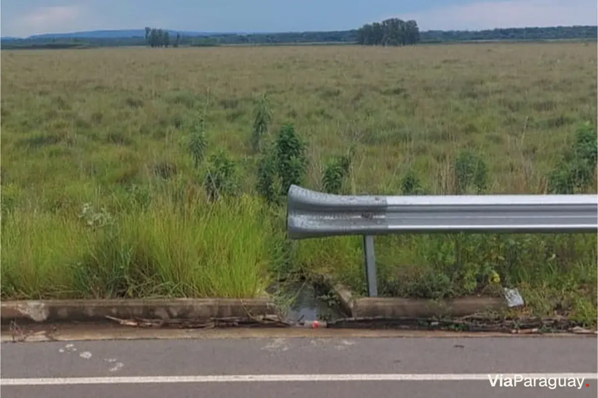 2-hectare land for sale in San José de los Arroyos