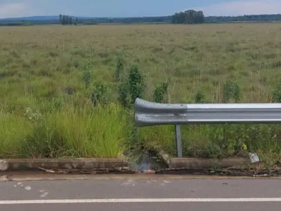 2-hectare land for sale in San José de los Arroyos
