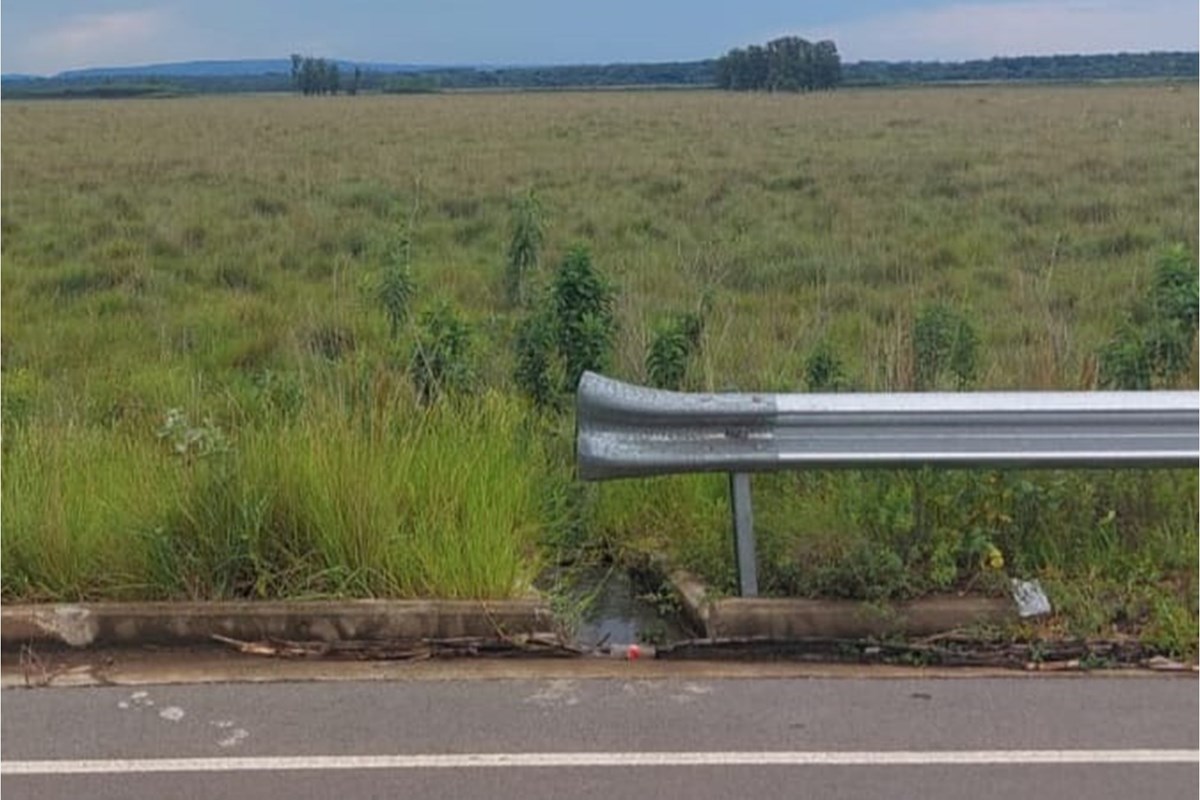 Terreno de 2 hectáreas en venta en San José de los Arroyos
