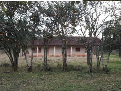 Terreno de 20 hectáreas en venta sobre ruta en Minga Guazú