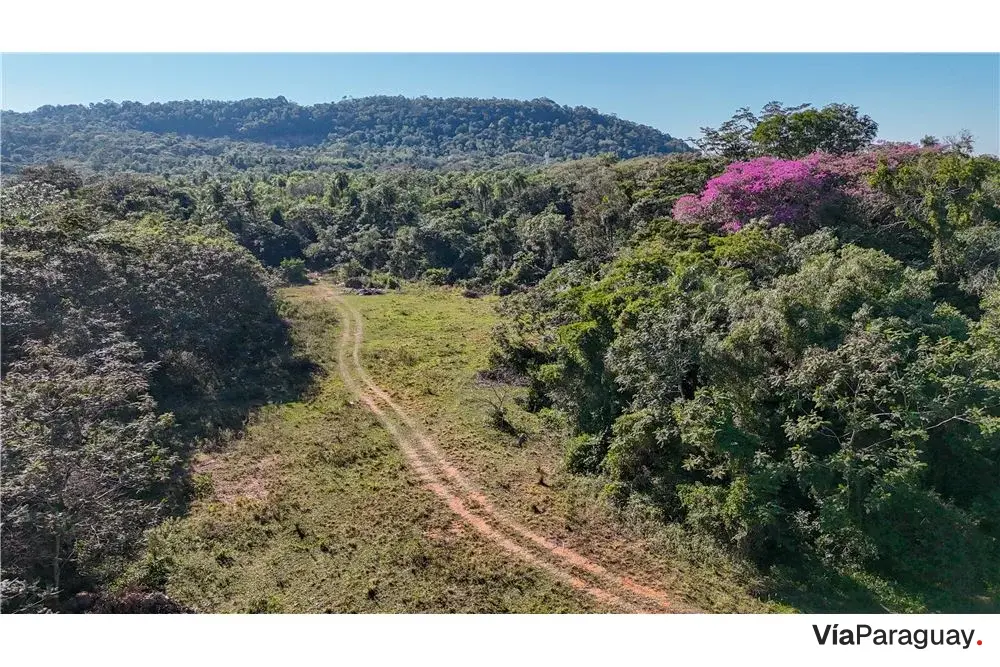 Terreno de 20.600 m² en venta en San Bernardino