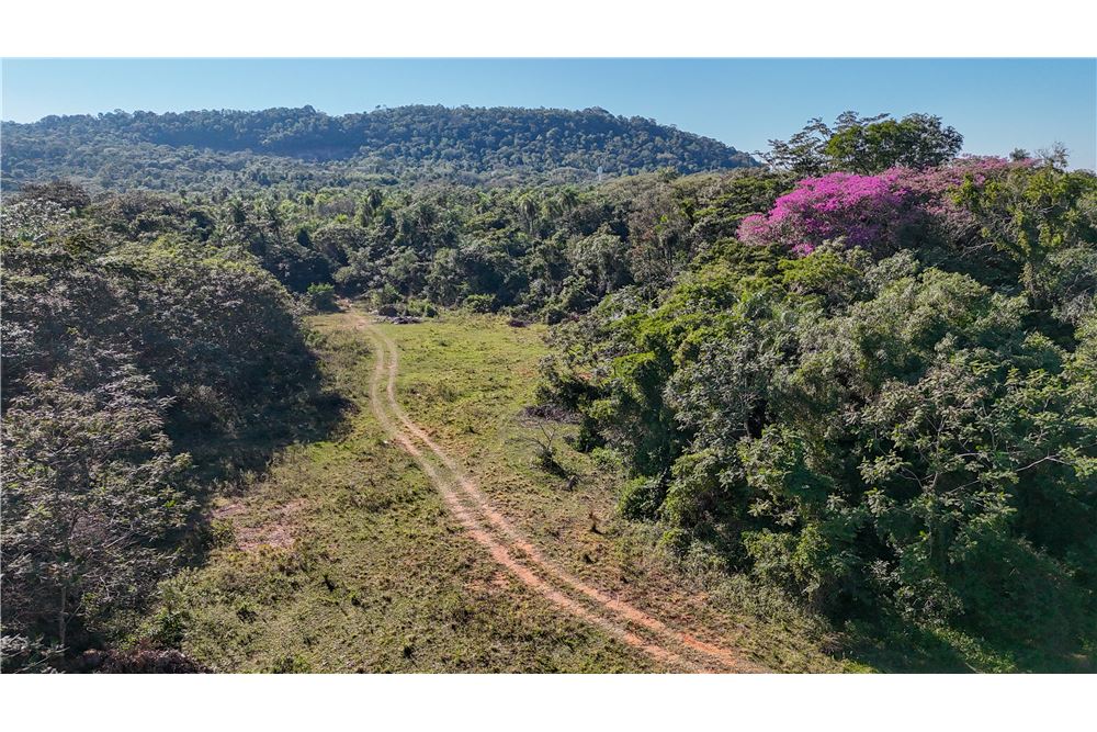 Land for sale in San Bernardino, 20,600 m²