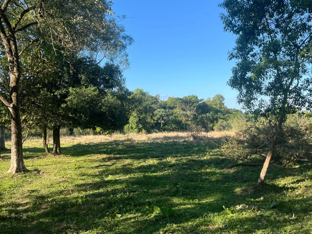 Terreno de 22.500 m² à venda em Arroyo Estrella, Ypacaraí