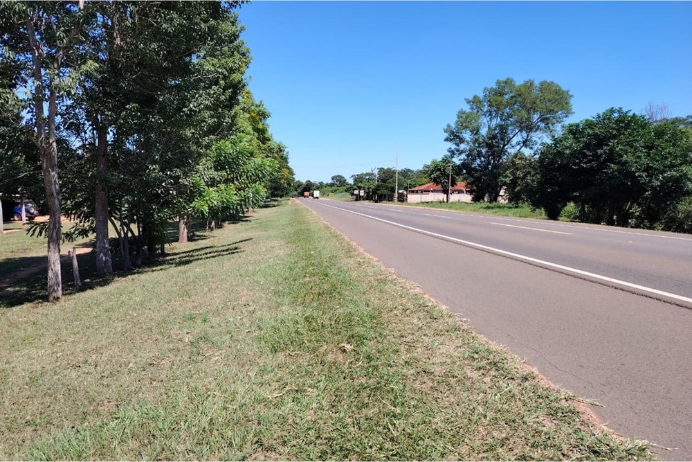 24-hectare land for sale in Nueva Germania, San Pedro